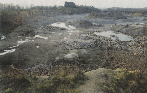 So sieht's heute aus: Blick in den Steinbruch Frauenberg, der perspektivisch erweitert werden soll.