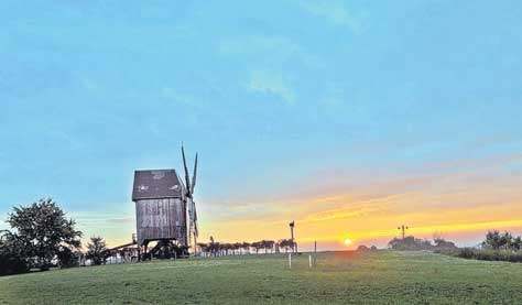 Sch�tzenswerte Idylle: Die Liebsch�tzberger Bockwindm�hle im Licht der aufgehenden Sonne hat unser Fotograf Sven Bartsch festgehalten.