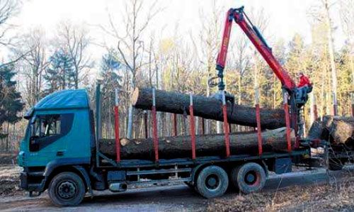 Mittels schwerer Technik werden die Eichenholzst�mme zur Sanierung der Liebsch�tzer M�hle aus dem Oschatzer Stadtwald gebracht. Foto: Dirk Hunger